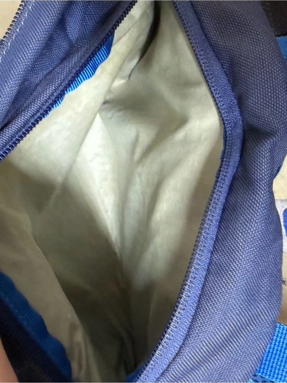 Osprey Skarab 24 Blue Daypack